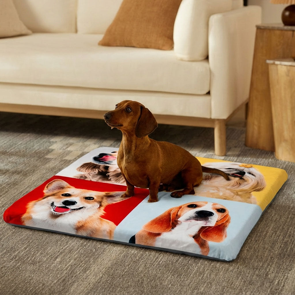 Magic Pet Beds