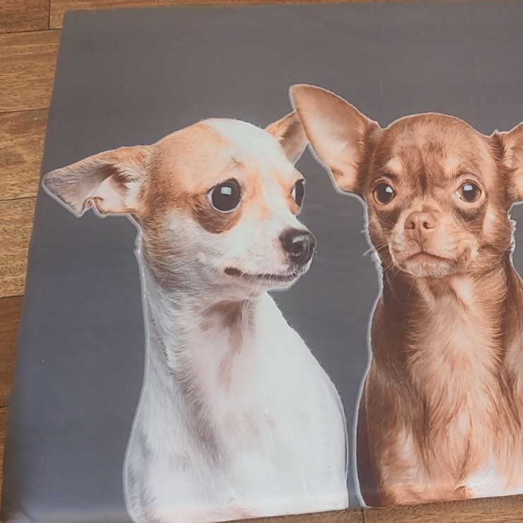 MagicPetBed™ – The No-Wash, Multi-Layered Clean Pet Bed