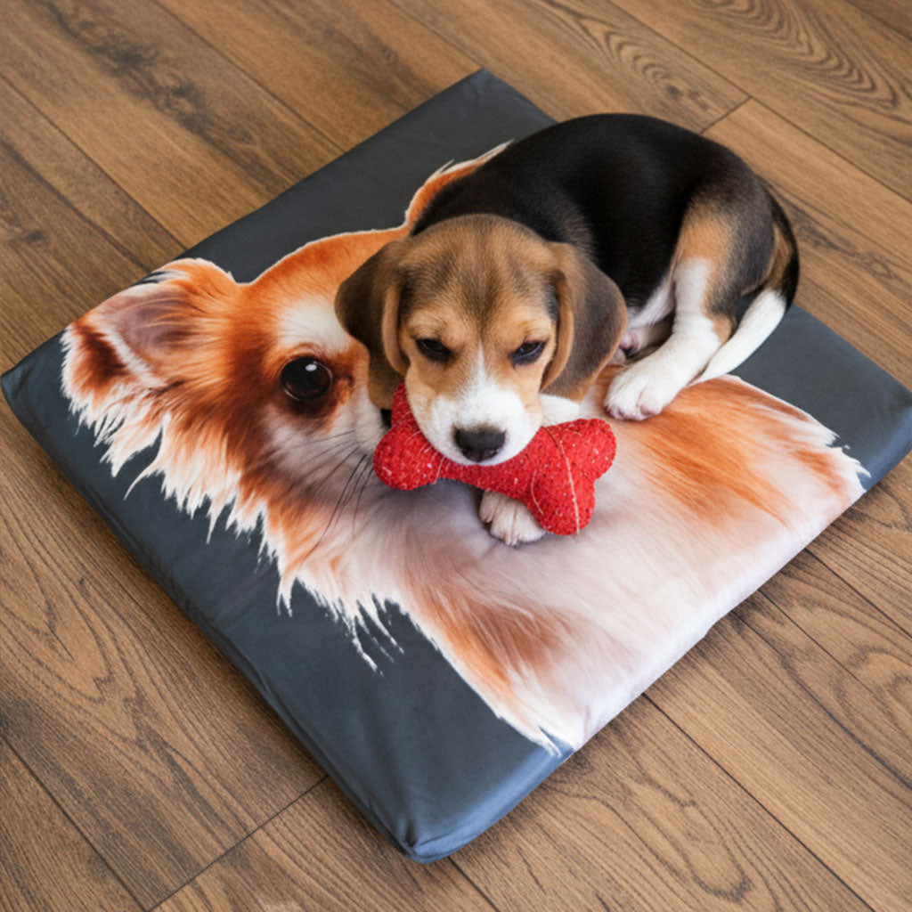 pup-1.jpg