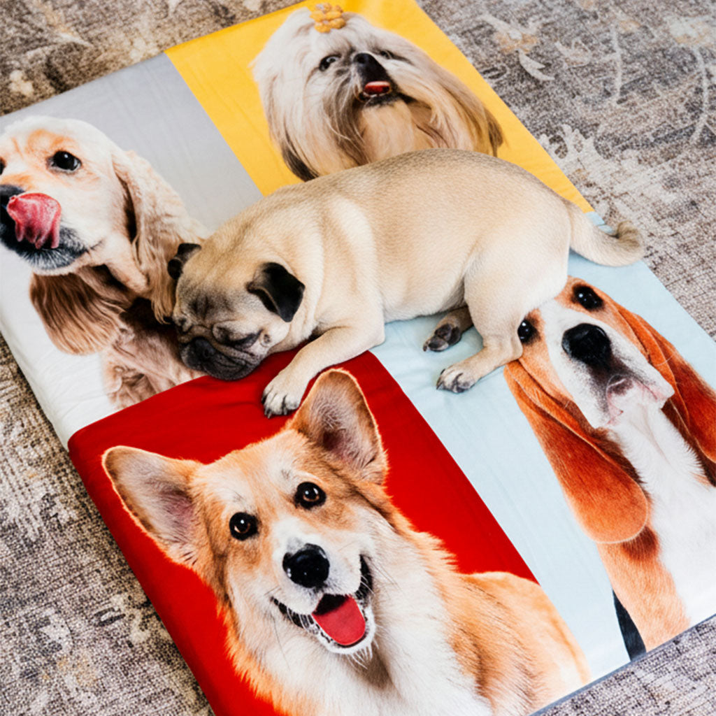 MagicPetBed™ Large With Pet Prints
