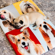 MagicPetBed™ Large With Pet Prints