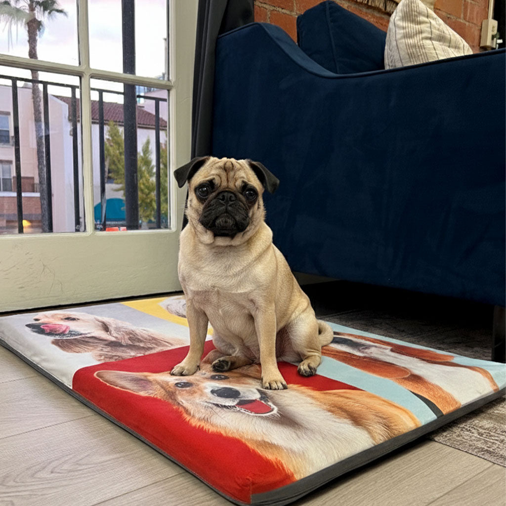 MagicPetBed™ Large With Pet Prints